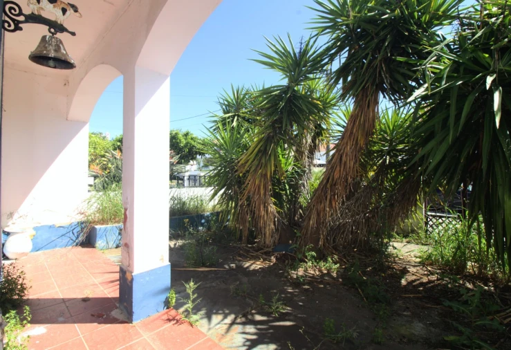 Moradia T5 para Venda em Terena (São Pedro) Foto 3