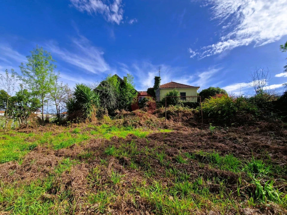 Moradia T5 para Venda em São Paio Foto 16