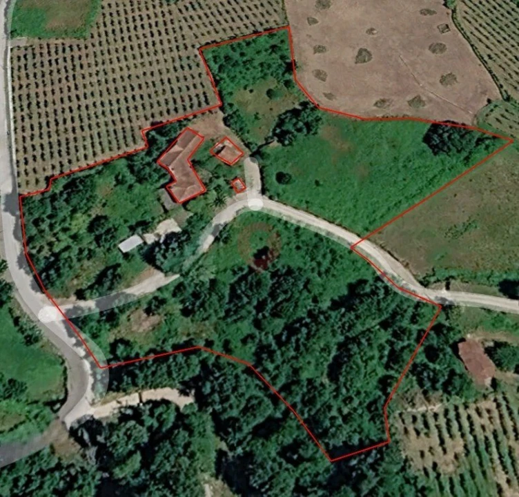 Moradia T5 para Venda em São Paio Foto 1