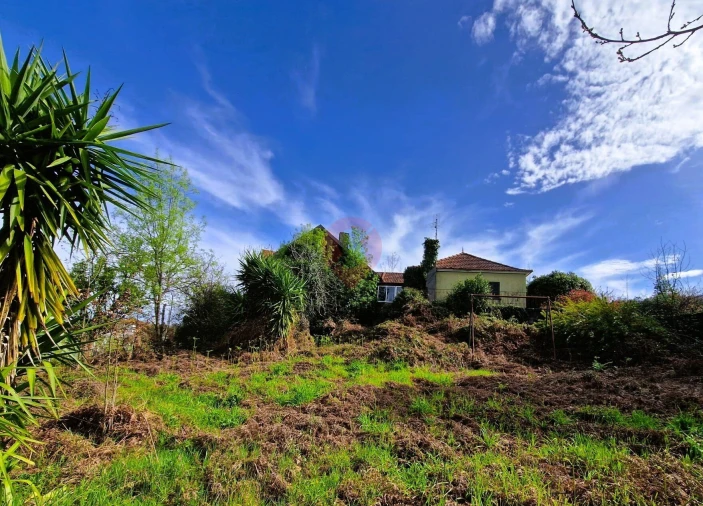 Moradia T5 para Venda em São Paio Foto 18