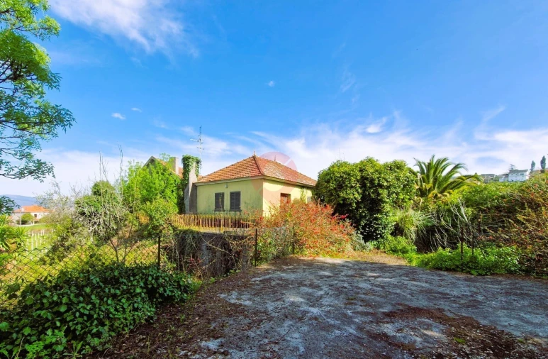 Moradia T5 para Venda em São Paio Foto 4