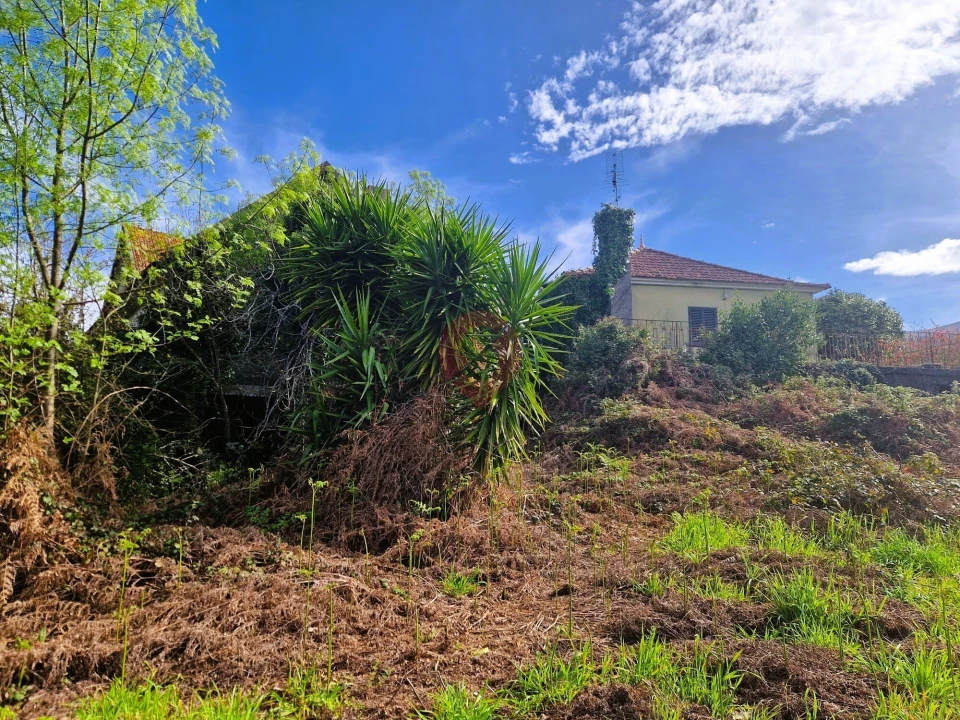 Moradia T5 para Venda em São Paio Foto 17