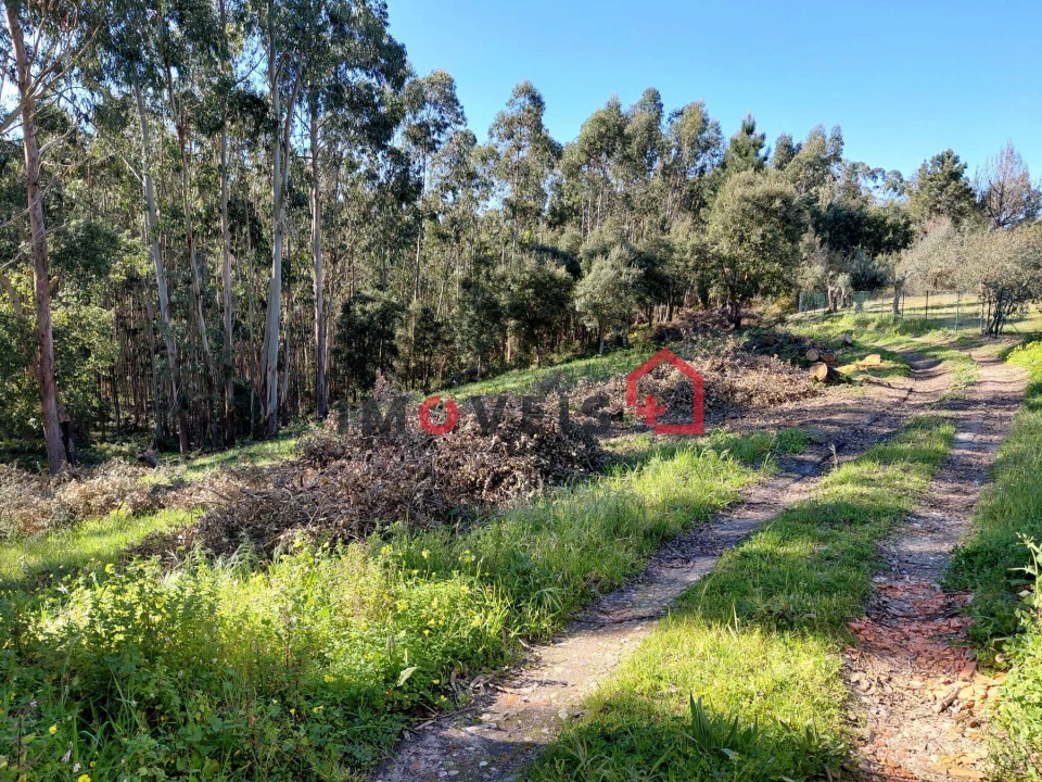 Terreno para Venda em Atouguia Foto 3