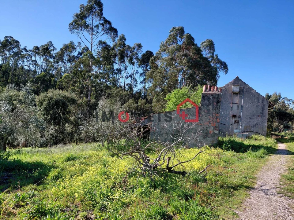 Terreno para Venda em Atouguia Foto 4