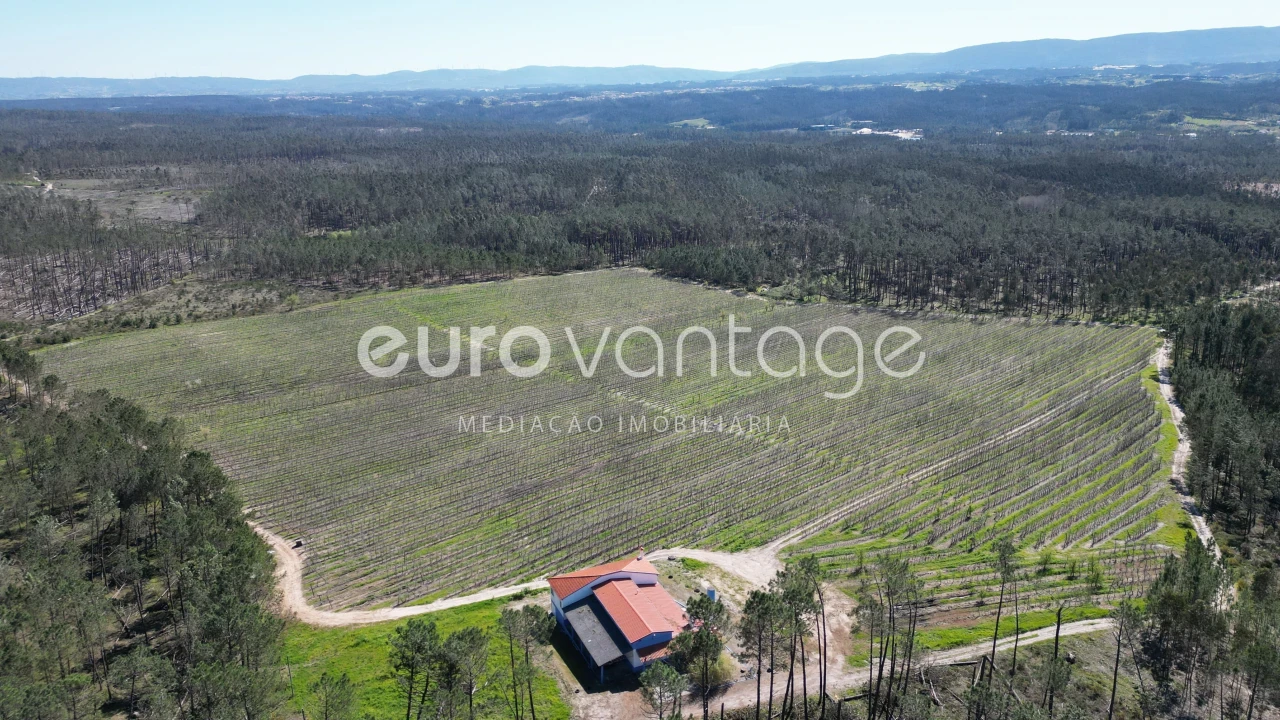 Moradia T3 para Venda em Coz, Alpedriz e Montes Foto 4