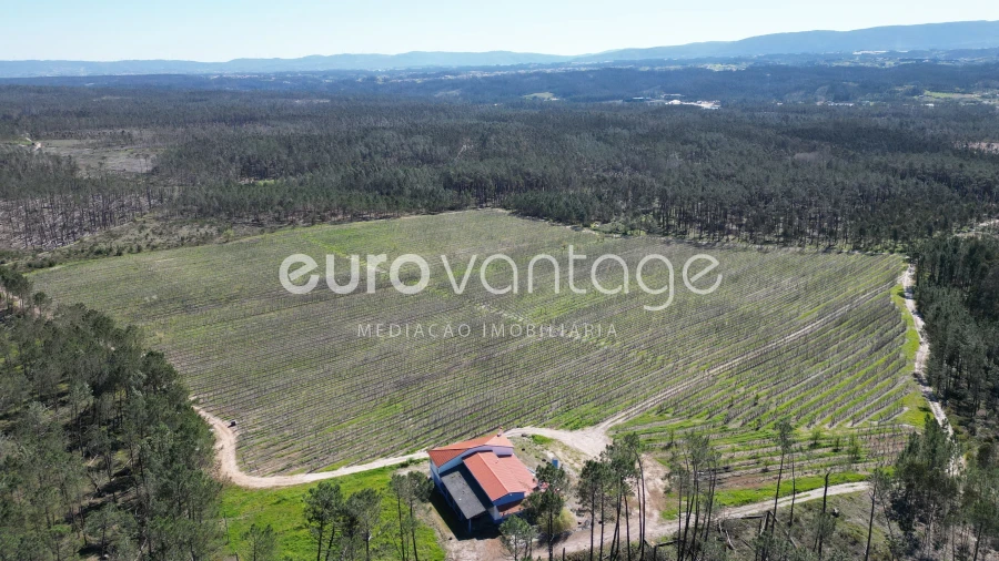 Moradia T3 para Venda em Coz, Alpedriz e Montes Foto 4