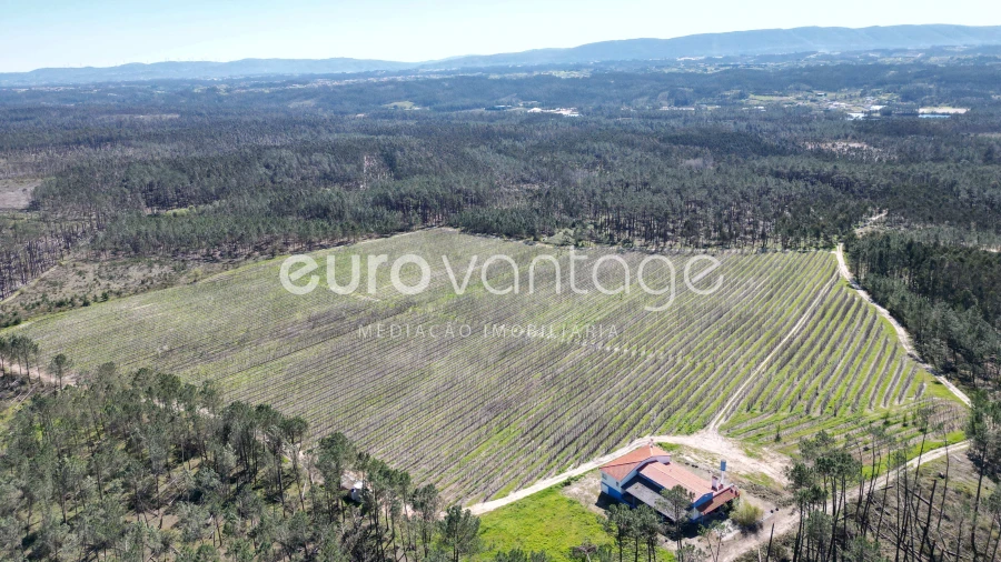 Moradia T3 para Venda em Coz, Alpedriz e Montes Foto 6