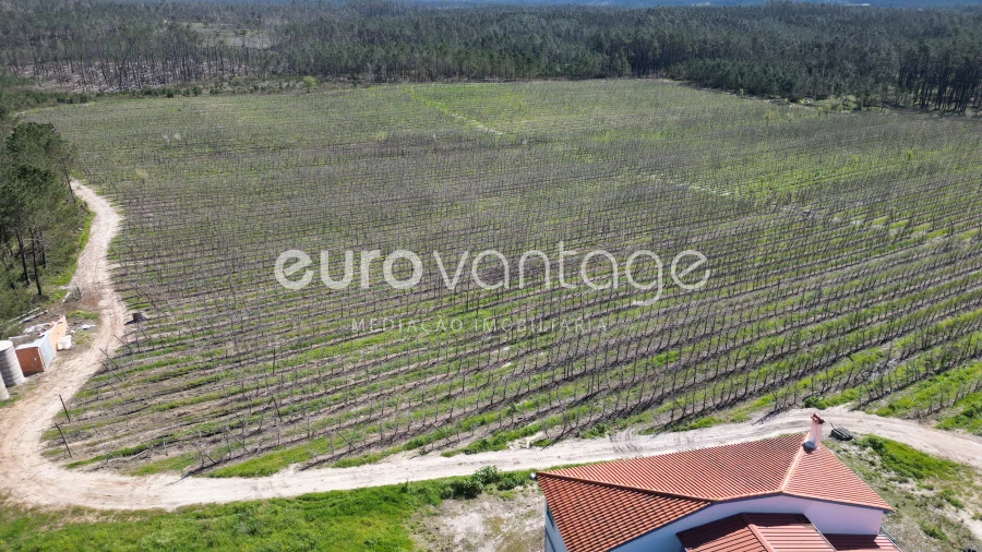 Moradia T3 para Venda em Coz, Alpedriz e Montes Foto 3