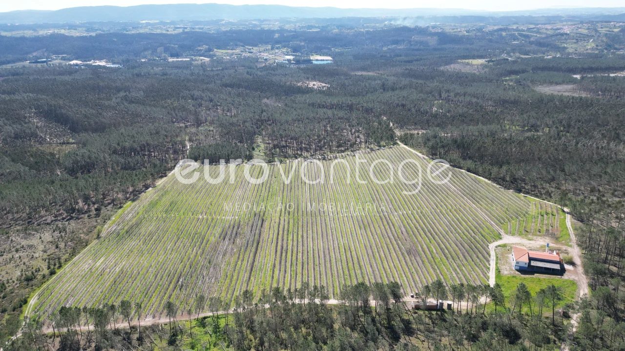 Moradia T3 para Venda em Coz, Alpedriz e Montes Foto 8