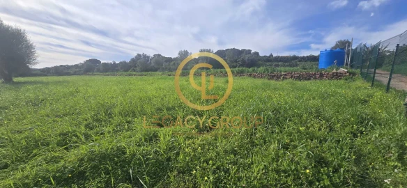 Terreno para Venda em Silves