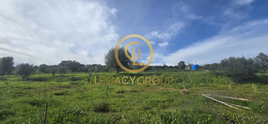 Terreno para Venda em Silves Foto 7