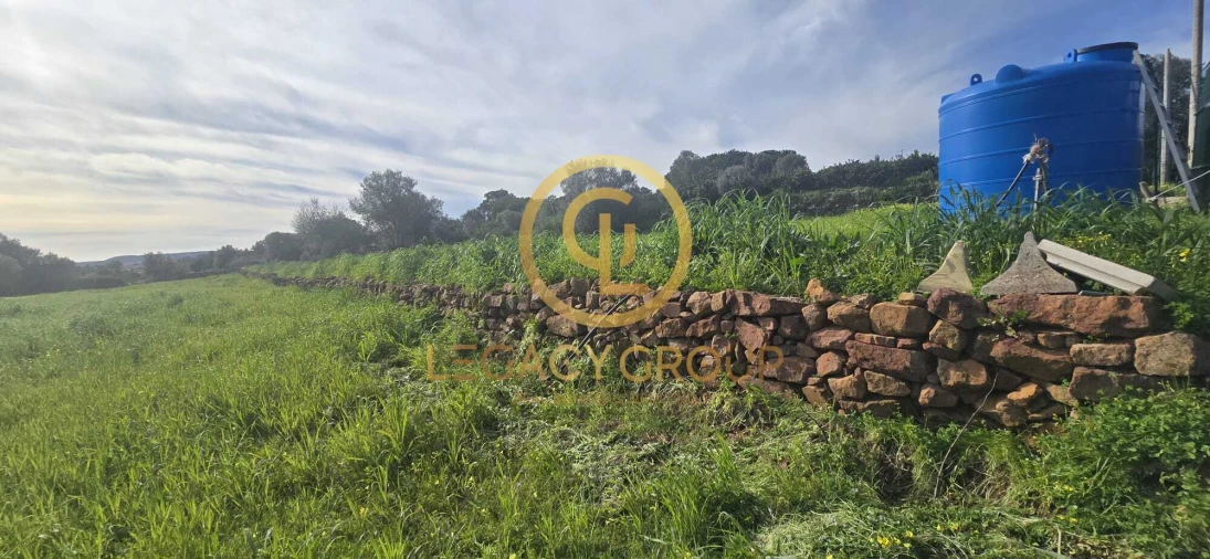 Terreno para Venda em Silves Foto 9