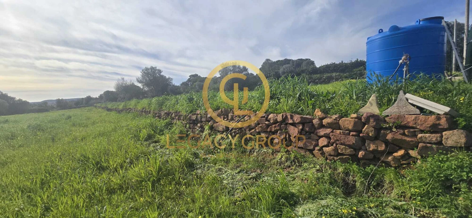 Terreno para Venda em Silves Foto 9