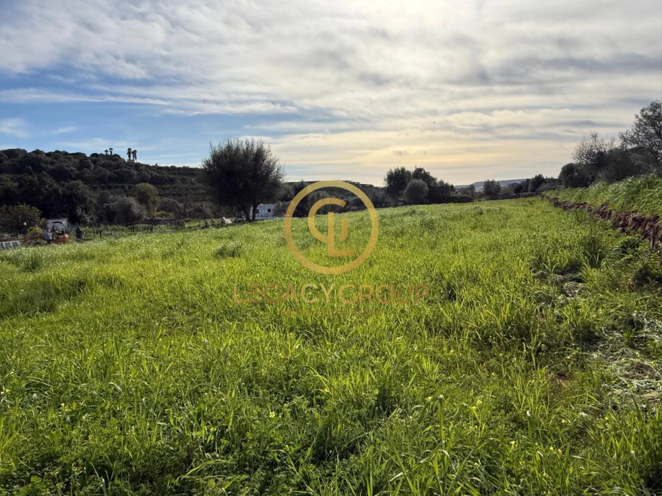 Terreno para Venda em Silves Foto 5