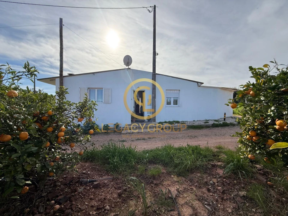 Terreno para Venda em Silves Foto 1