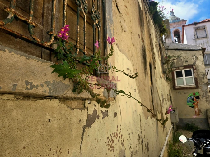 Prédio para Venda em Almada, Cova da Piedade, Pragal e Cacilhas Foto 10