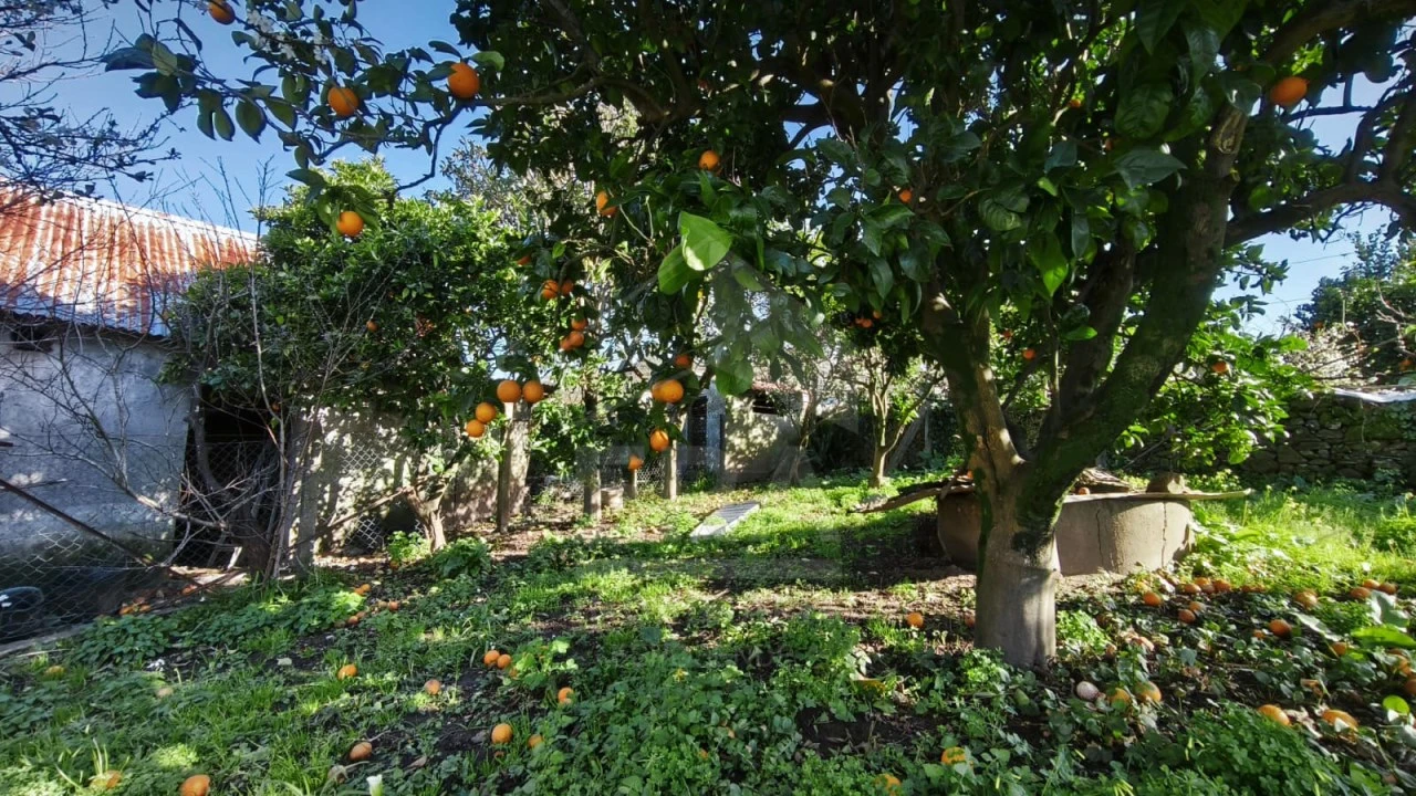 Moradia T4 para Venda em Santa Marta de Portuzelo Foto 6
