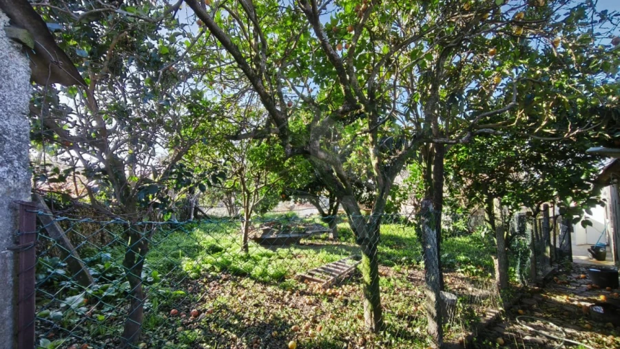 Moradia T4 para Venda em Santa Marta de Portuzelo Foto 5