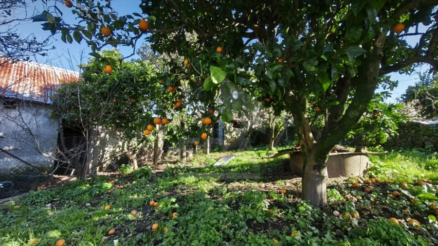 Moradia T4 para Venda em Santa Marta de Portuzelo Foto 6