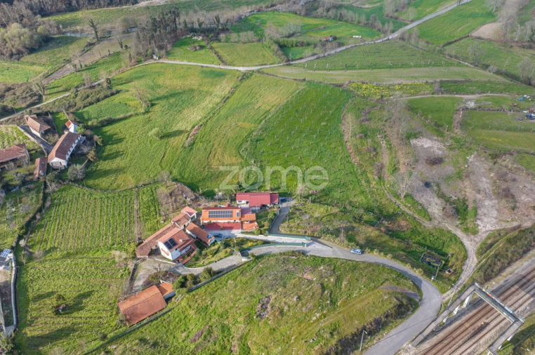 Quinta T3 para Venda em Meinedo Foto 45