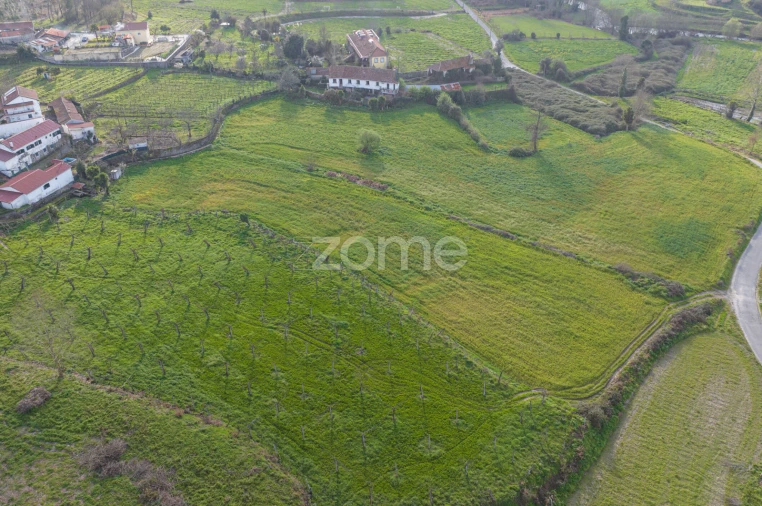 Quinta T3 para Venda em Meinedo Foto 54