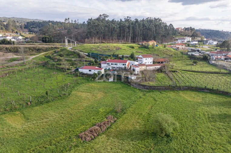 Quinta T3 para Venda em Meinedo Foto 44