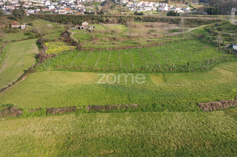 Quinta T3 para Venda em Meinedo Foto 55