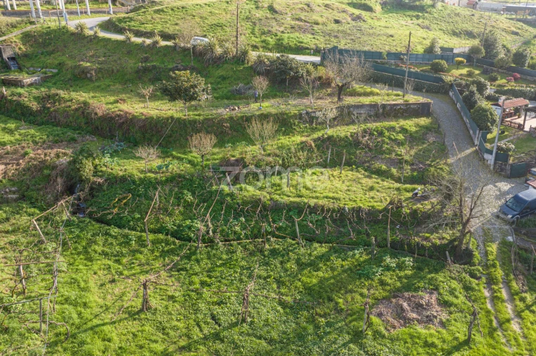 Quinta T3 para Venda em Meinedo Foto 57
