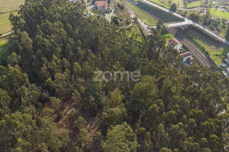 Quinta T3 para Venda em Meinedo Foto 73