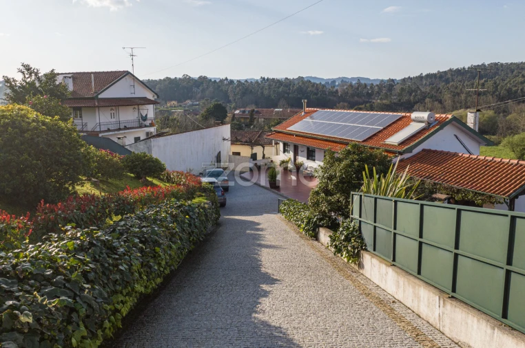 Quinta T3 para Venda em Meinedo Foto 3