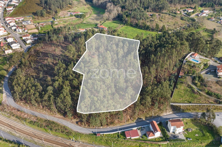 Quinta T3 para Venda em Meinedo Foto 72