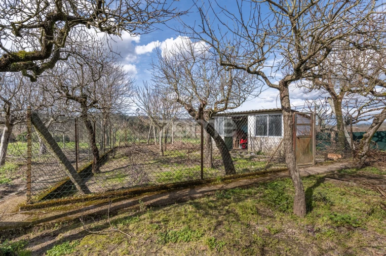 Quinta T3 para Venda em Meinedo Foto 48