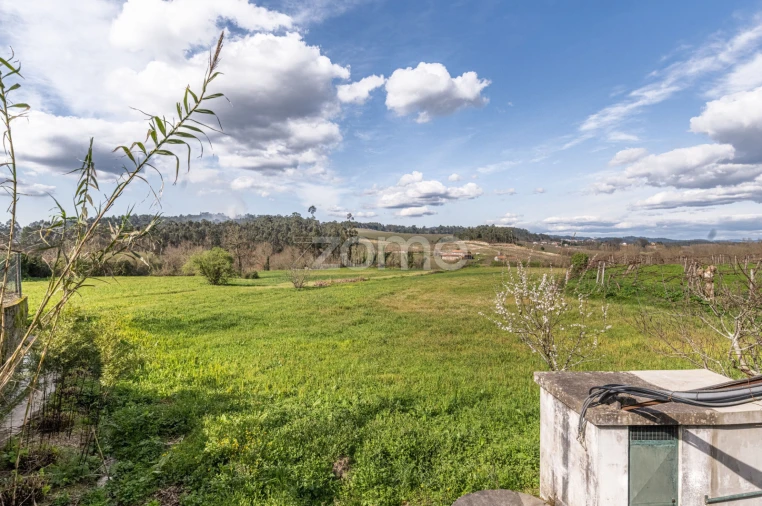 Quinta T3 para Venda em Meinedo Foto 50