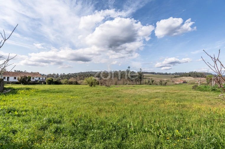 Quinta T3 para Venda em Meinedo Foto 56
