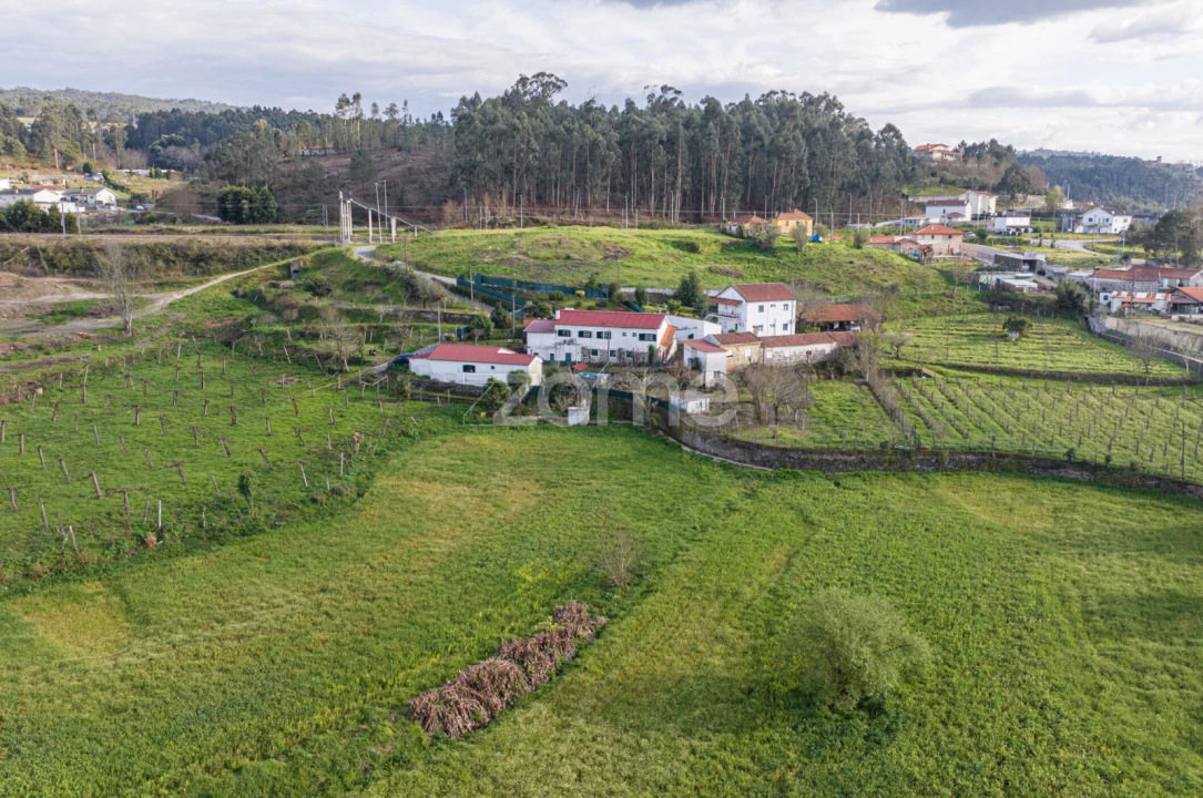 Quinta T3 para Venda em Meinedo Foto 44