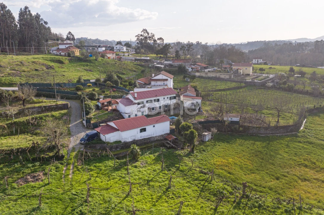 Quinta T3 para Venda em Meinedo Foto 43