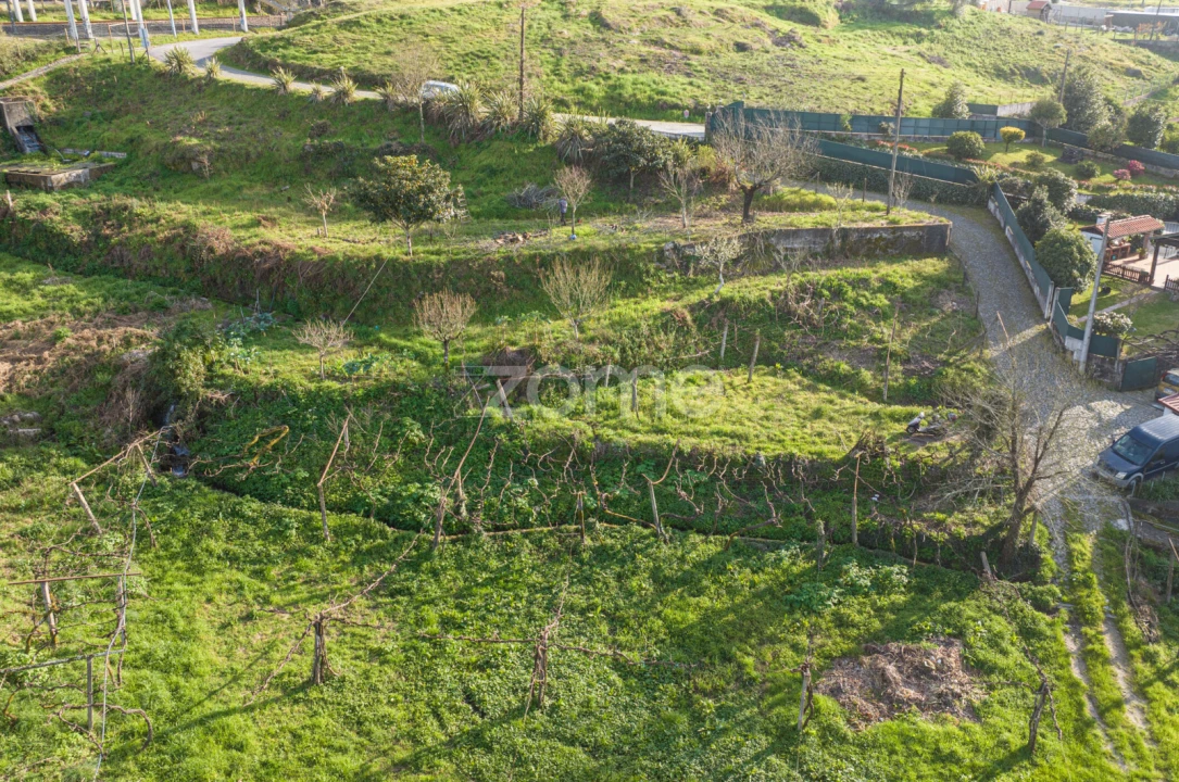 Quinta T3 para Venda em Meinedo Foto 57