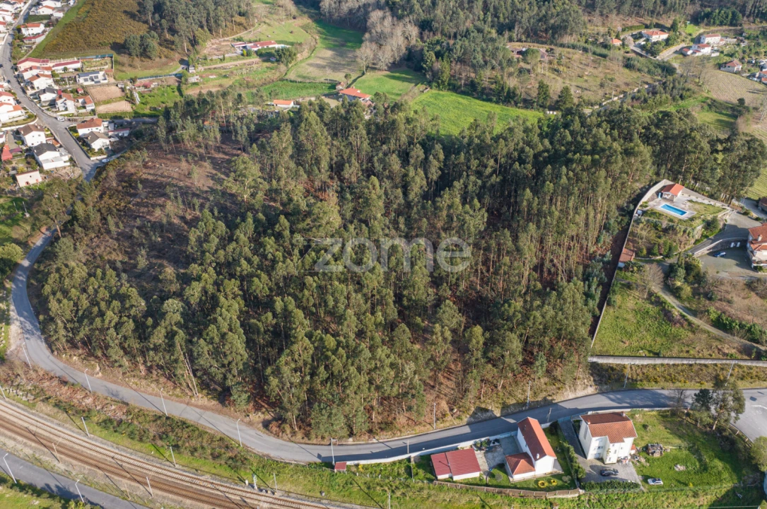 Quinta T3 para Venda em Meinedo Foto 70