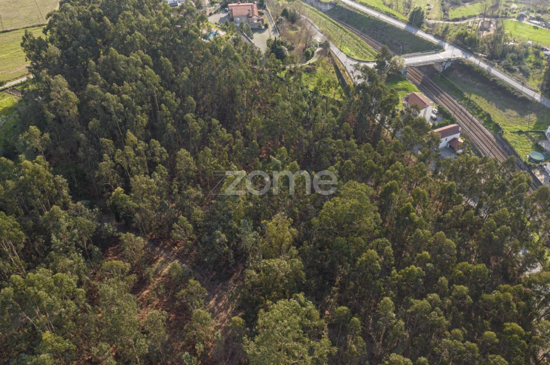 Quinta T3 para Venda em Meinedo Foto 73