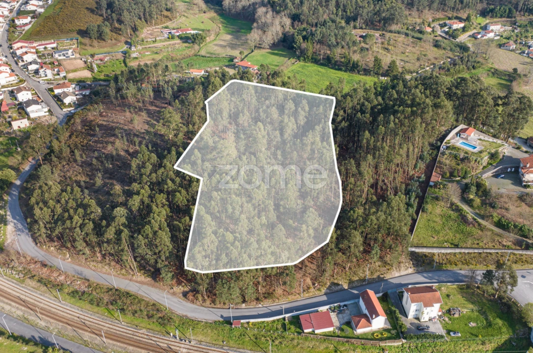 Quinta T3 para Venda em Meinedo Foto 72