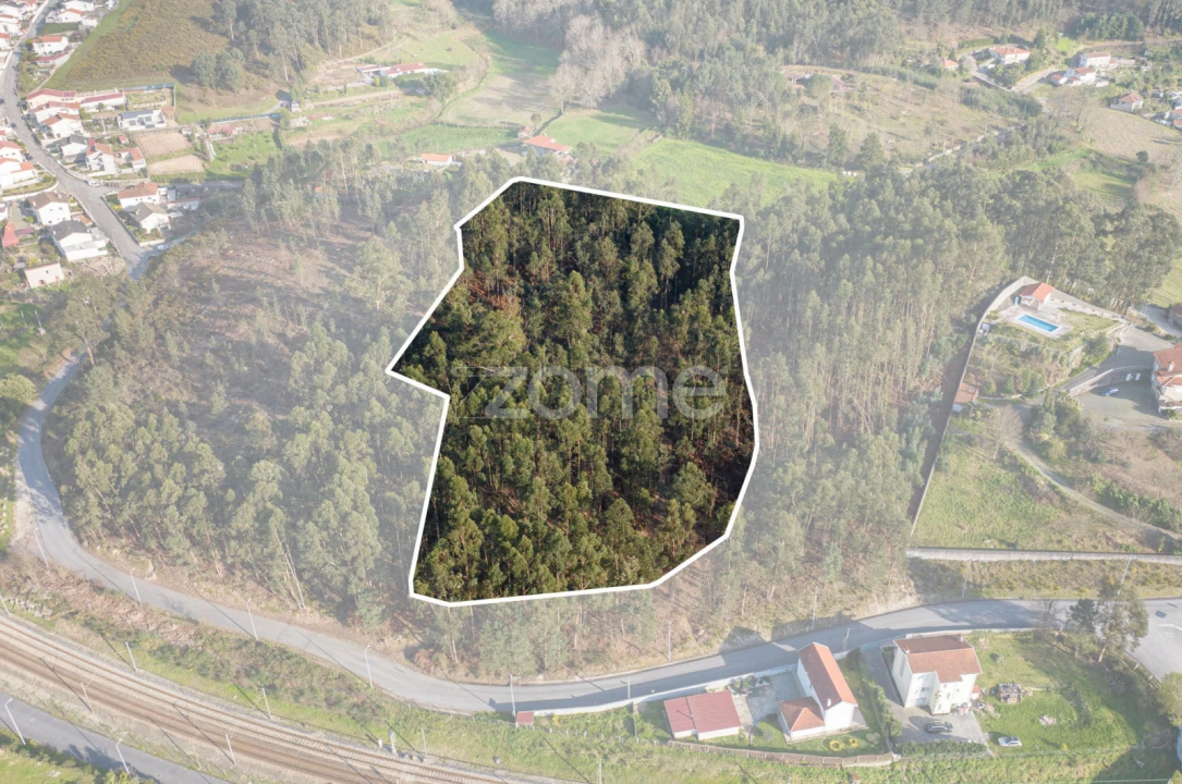 Quinta T3 para Venda em Meinedo Foto 71