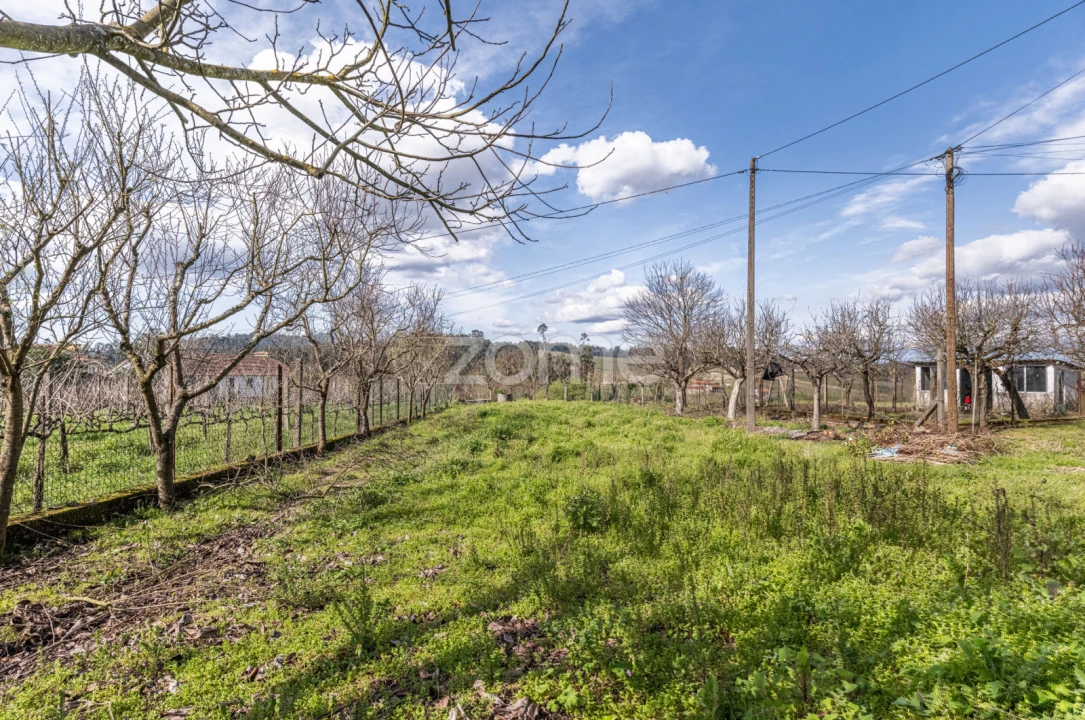 Quinta T3 para Venda em Meinedo Foto 49