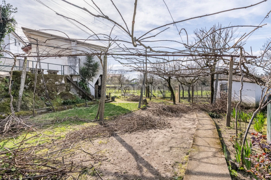 Quinta T3 para Venda em Meinedo Foto 36