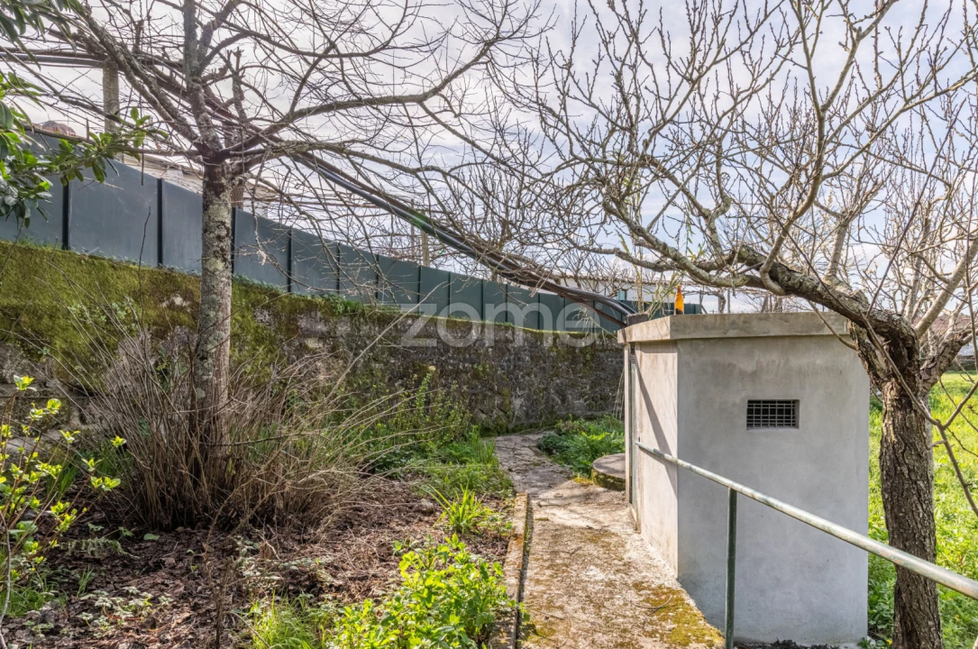 Quinta T3 para Venda em Meinedo Foto 51