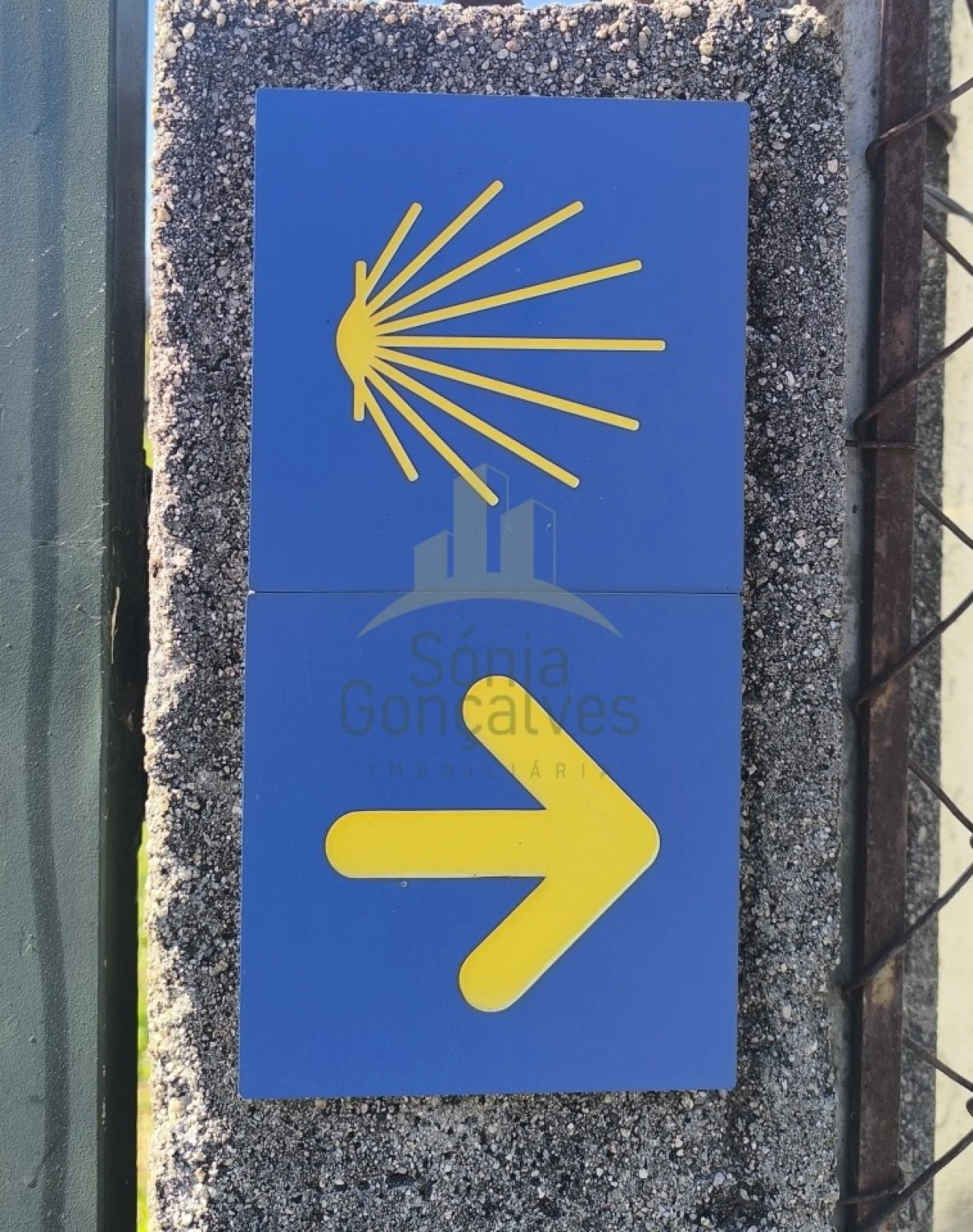 Terreno para Venda em Correlhã Foto 9