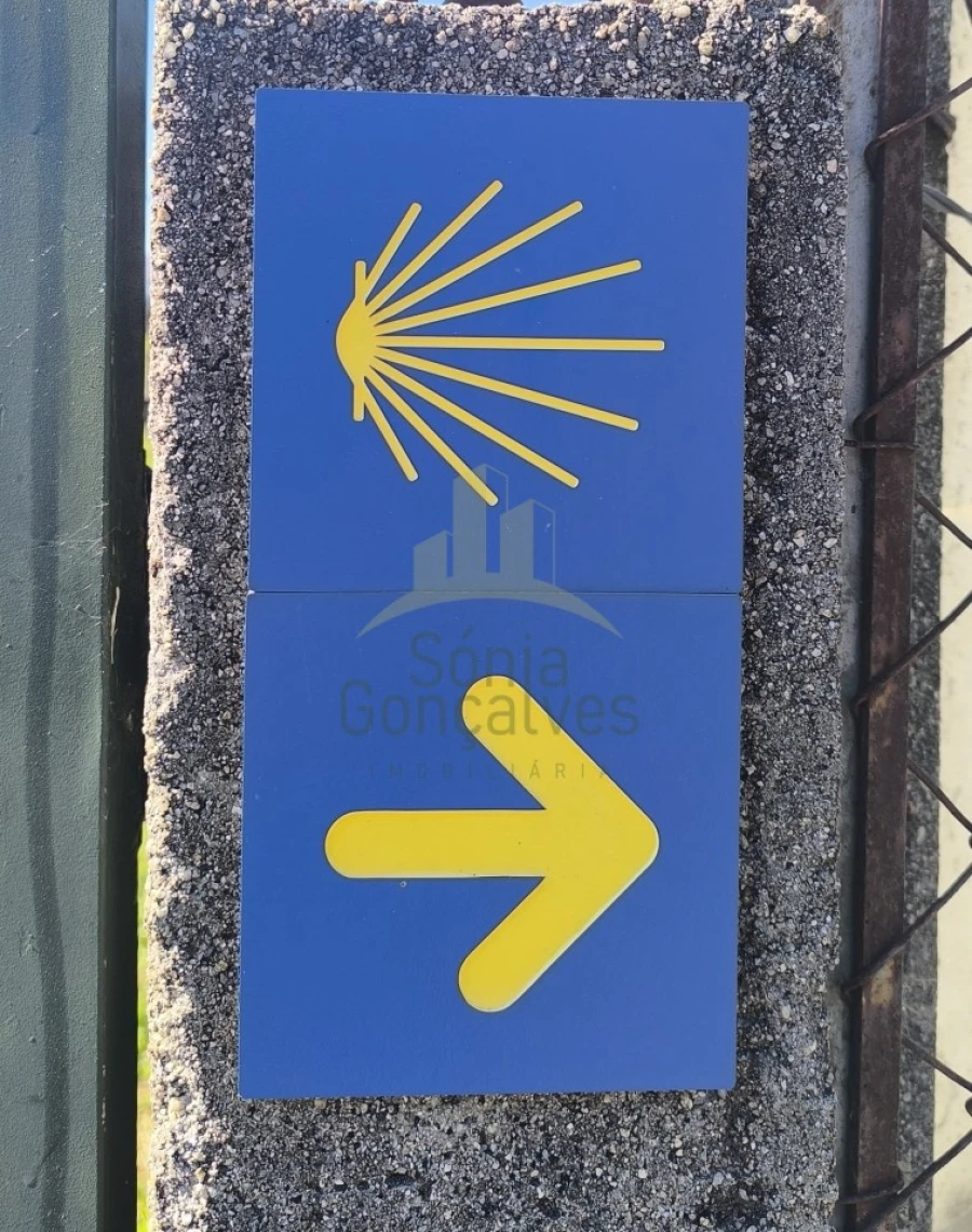 Terreno para Venda em Correlhã Foto 9