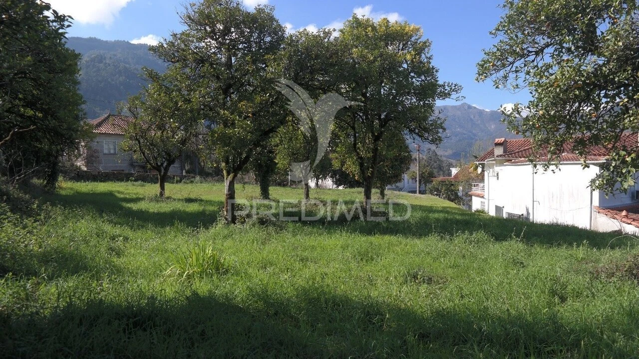 Terreno para Venda em Rio Caldo Foto 17