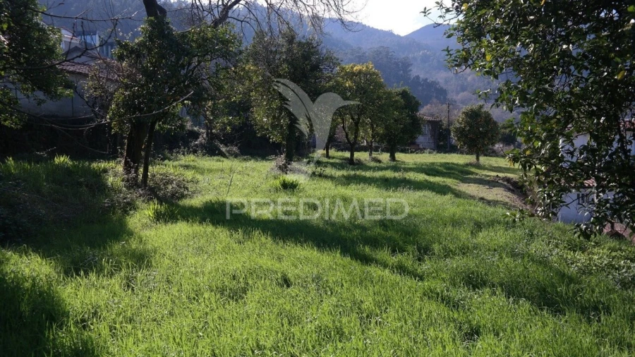 Terreno para Venda em Rio Caldo Foto 14