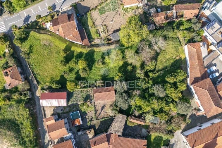 Terreno para Venda em Rio Caldo Foto 12