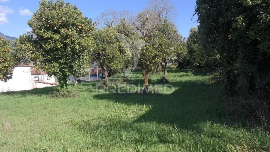 Terreno para Venda em Rio Caldo Foto 13